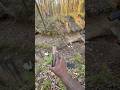 Glock, Hellcat ,and Taurus mag dump #viral #trending #fyp #feed #glock #taurus #hellcat