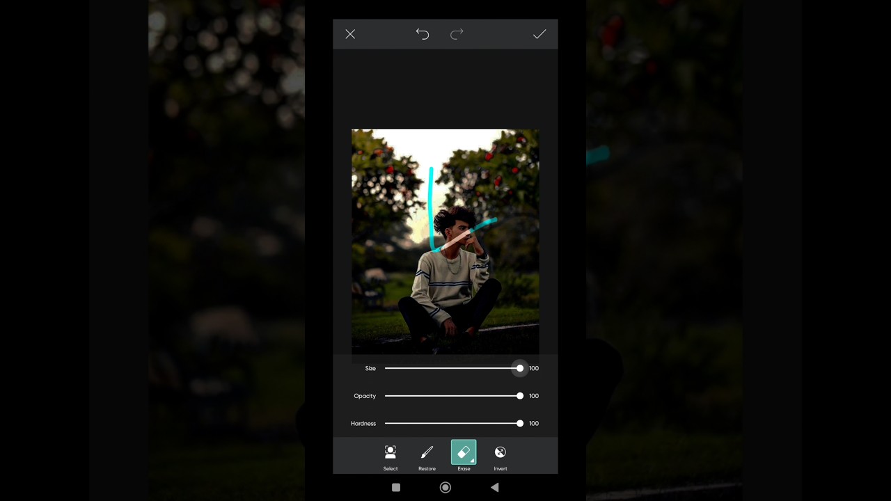 Snapseed sky Blue tone effect photo editing 