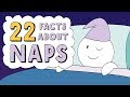 22 Facts About Naps