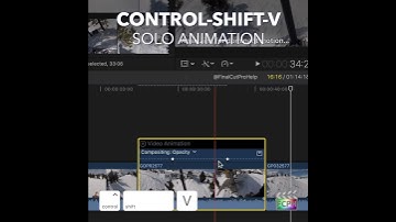 Final Cut Pro Shortcut | Control-Shift-V | Solo Animation