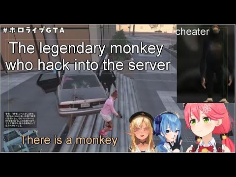 The legendary monkey who hack into miko server and stalked suisei