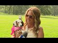 Hundreds of dachshunds take over Lincoln Park for Weenie Walk Weekend