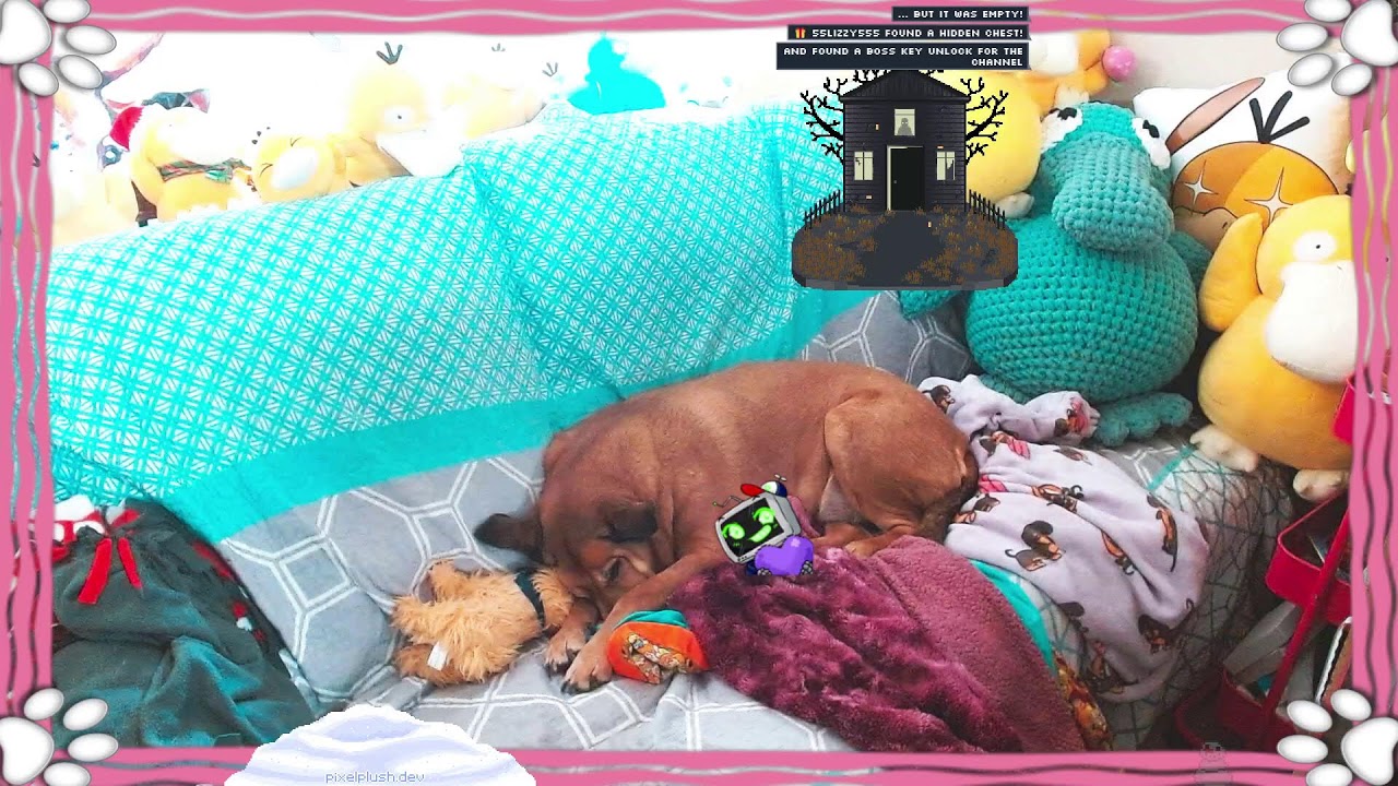 Dog Cam Only | !discord !kofi !throne !sfx