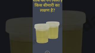 पेशाब का रंग पिला होना किस बीमारी का लक्षण है #gk #shortsfeed #shortvideo #shorts #short #gkinhindi