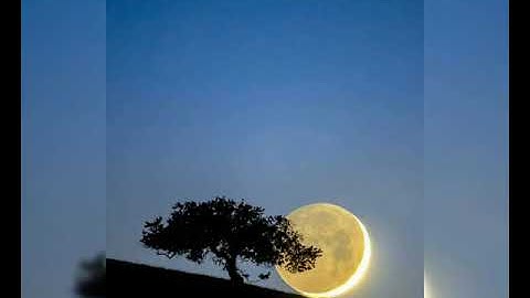 قراءة المقطع الخامس من سورة يس