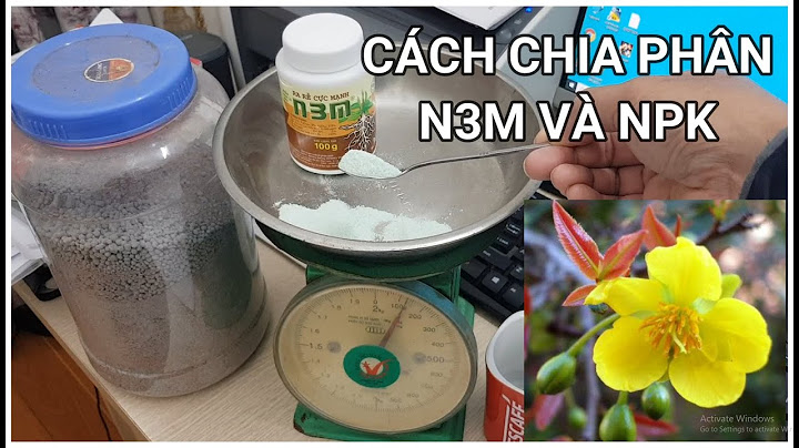 🔴 QBS2295 - CÁCH CHIA TỈ LỆ N3M, CÁCH DÙNG N3M, CÁCH CHIA TỶ LỆ PHÂN BÓN NP3 CHO CÂY MAI VÀNG, N3M