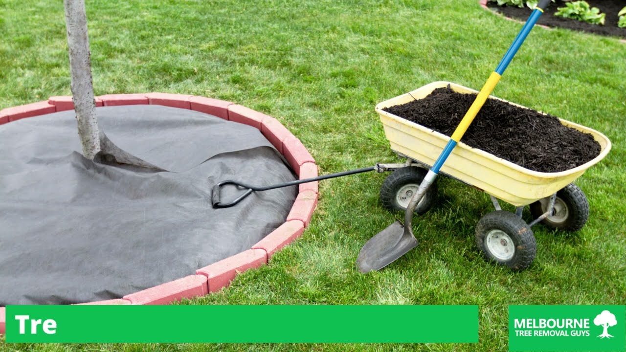 Tree Mulching Services in Narre Warren, Melbourne