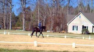 Une Grace, Hillcrest HT, Beginner Novice