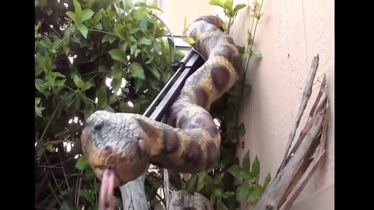 Attack Snake Prop