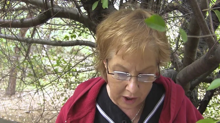 URGENT RAPTURE MESSAGE! KIMBERLY K BALLARD