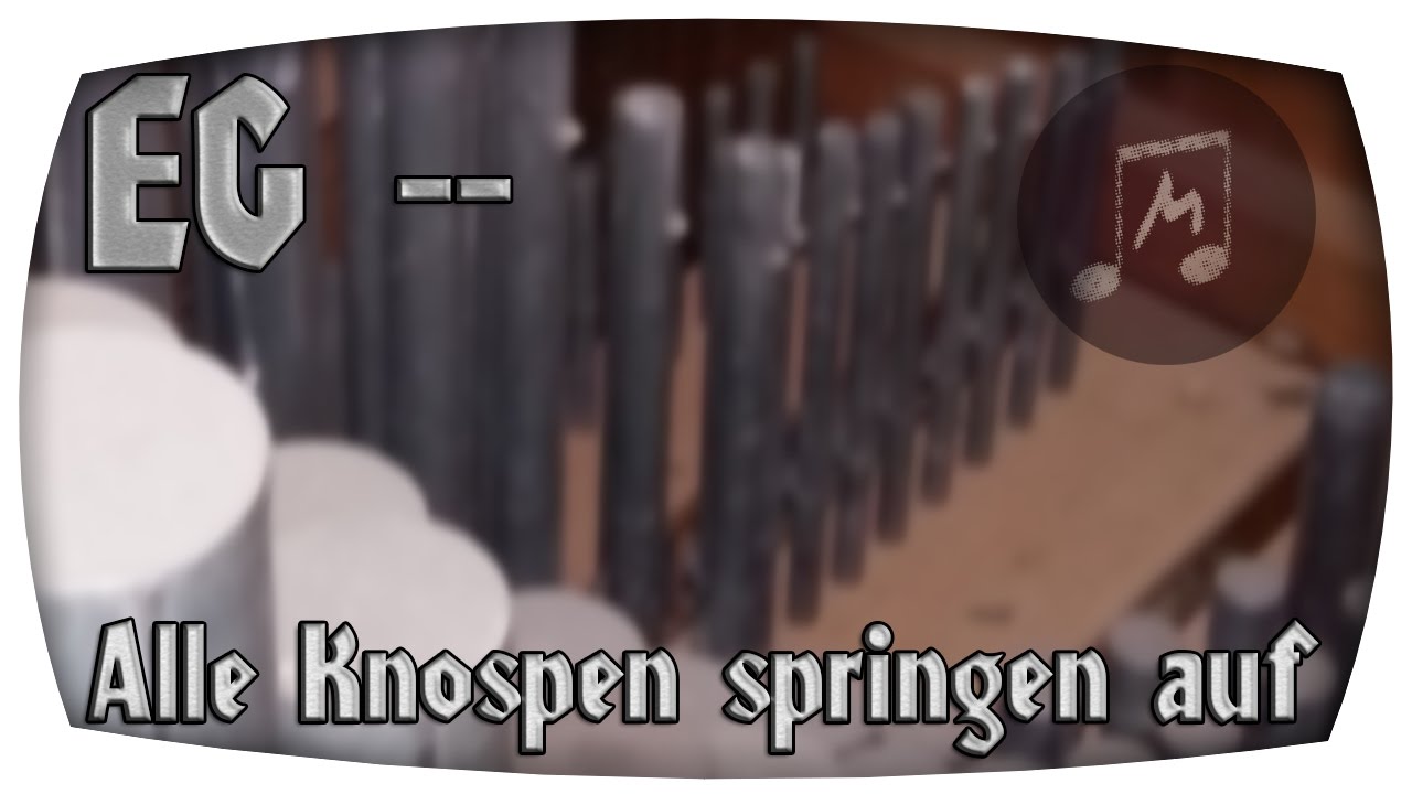 Alle Knospen springen auf, fangen an zu blühen