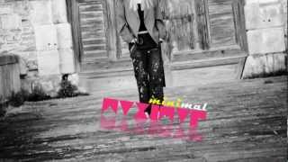 Shettland Ponies - Teaser