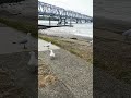 #NaturePhotography #AestheticVibes #BirdVideo
