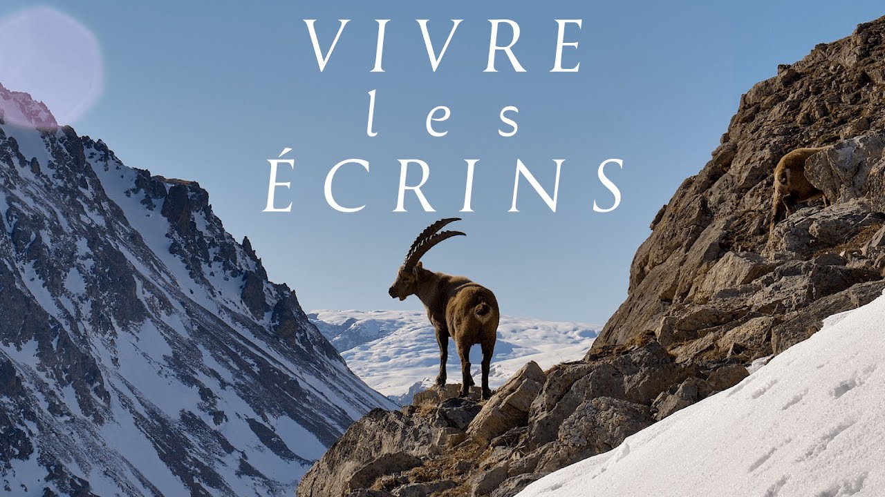VIVRE LES ÉCRINS | Documentaire