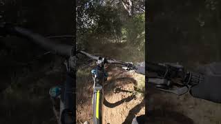 Com està el 💀MEMENTO MORI💀😍🤌 @FAZUA #ride60 #mtb #haibikelyke #enduromtb #jardinetsantpolenc
