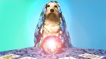 The Most Bizarre Ways Of Fortune Telling