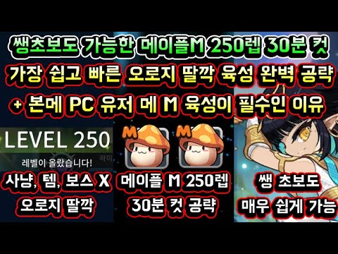 [메이플스토리 맑음] 메이플M 250레벨 30분 컷 공략! 쌩초보도 가능하면서 가장 쉽고 빠른 오로지 딸깍 육성 공략 / PC 메이플 유저가 메이플M 육성이 필수인 이유