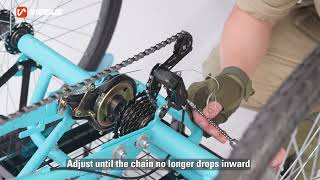 Fix Shifting NOW Stop Skipping Gears Chain Drops Bike E-Bike Trike