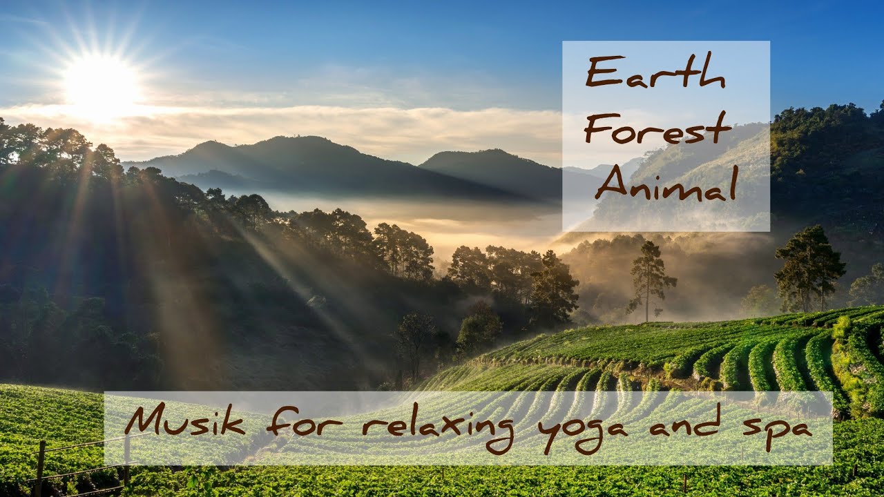 Earth Flores and animal | relax music nature | good for spa yoga and relaxing your heart 