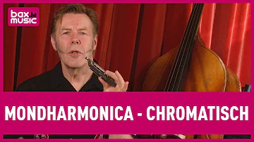 Mondharmonica Les 4, Chromatische Mondharmonica | Bax Music