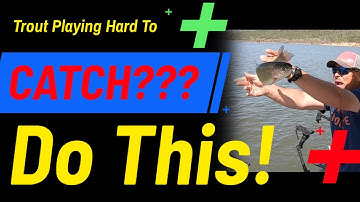 Trolling For Trout?  Try a Tube!