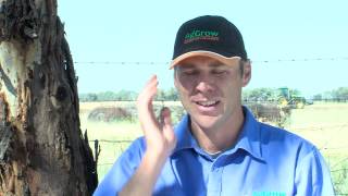 Occupations in Agriculture: Agronomist & Fish Farmer Mat Ryan