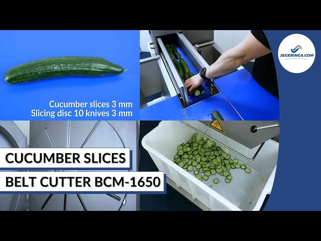 Cucumber Coring & Segmenting Machine