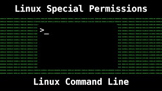 Linux Special Permissions