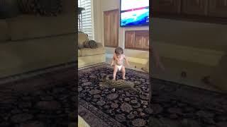 Kid approaches cat and gets scratched by cat