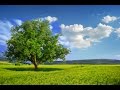 Concentration Music, Study Music, Relaxing Music for Studying, Soothing Music, Alpha Waves, ☯625