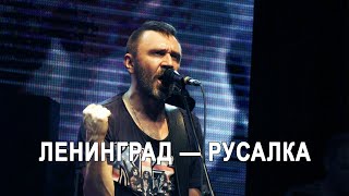 Ленинград — Русалка (Не Крым) Live