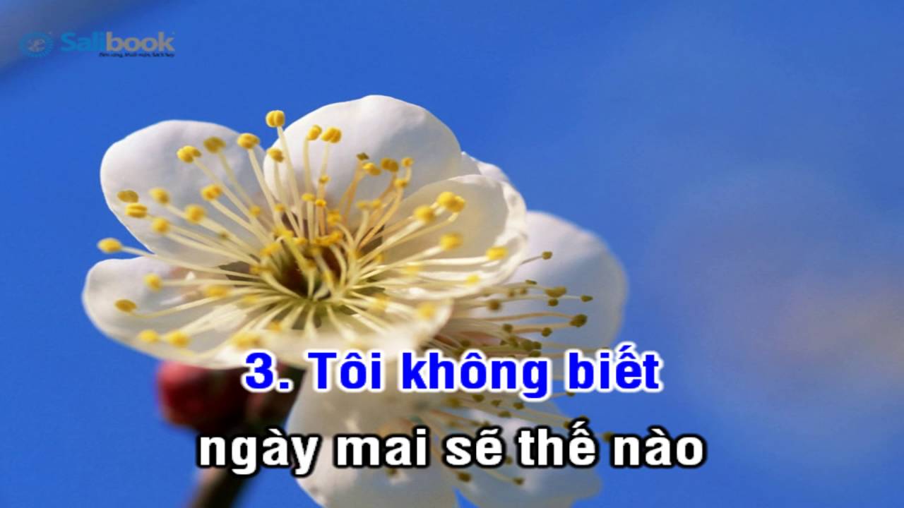 [Karaoke TVCHH] 270 - TÔI BIẾT ĐẤNG NẮM GIỮ TƯƠNG LAI - Salibook
