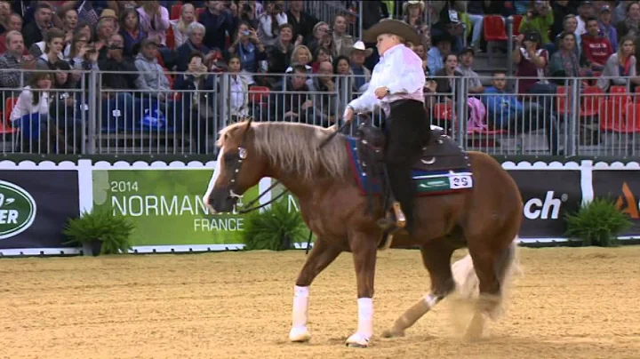 Jeux questres mondiaux : preuves de Reining, passa...