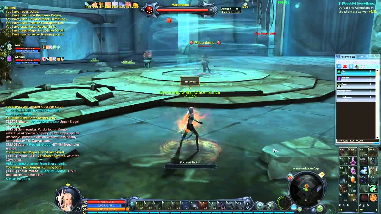 13,439 damage stunning shot!