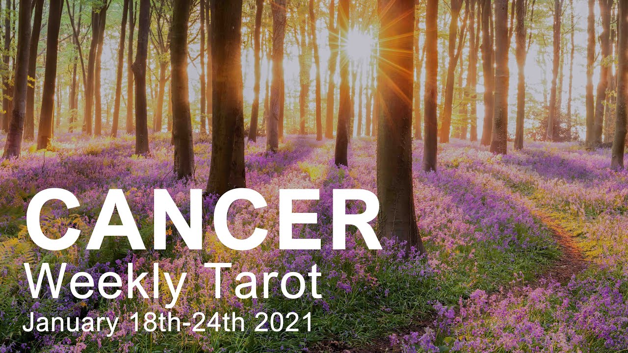 CANCER WEEKLY TAROT READING 