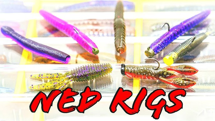 Buyer's Guide: Ned Rig Baits and Tricks For All Seasons 