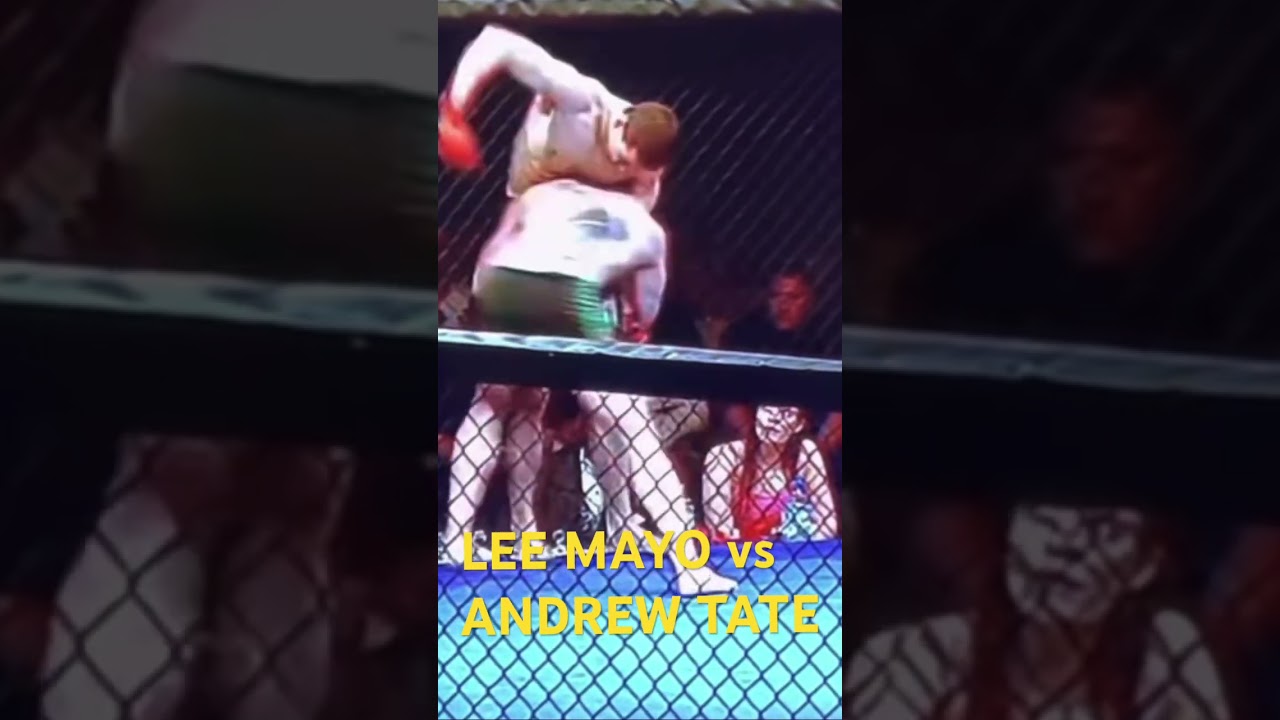 ANDREW TATE vs LEE MAYO mma 