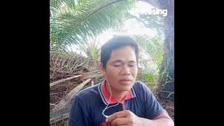 Nuan Berega Dimata ku