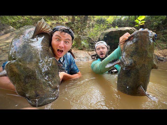 World's BIGGEST FISHING REEL Catches BIG FISH 