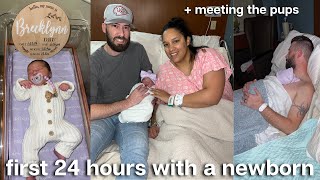 First 24 hours with a newborn 👼🏼💕 meeting the dogs, postpartum life, going home