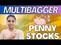 PENNY STOCKS | Multi bagger Stocks | Don't Miss This Video |