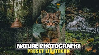 Free 50 Preset Lightroom Cinematic Alam | Nature Cinematic Presets | PRESET LIGHTROOM TERBARU 2022 screenshot 5