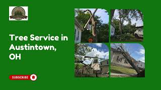 Tree Service in Austintown, OH
