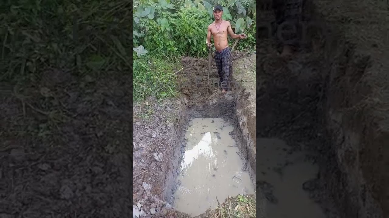 Catfish Farming | Pond Construction and Expansion for 5000 capacity