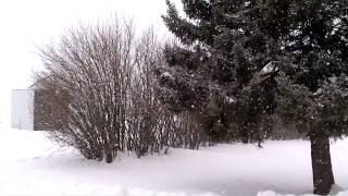 VID-20130311-00000