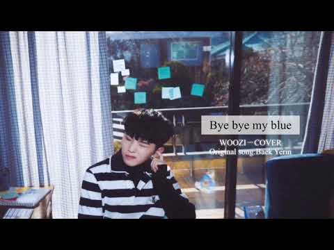 【日本語字幕/カナルビ/COVER】 Bye bye my blue ウジ (SEVENTEEN) 원곡:ペクイェリン