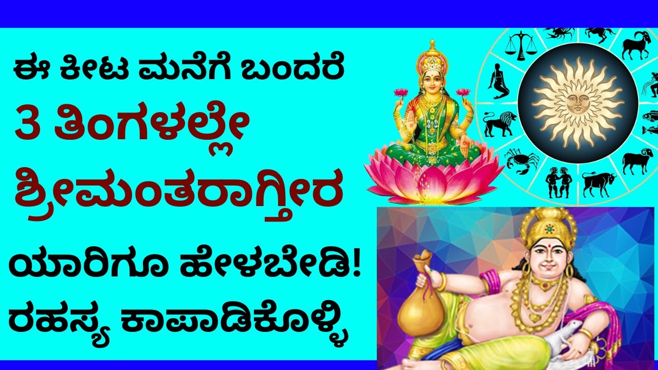 ಈ ಕೀಟಗಳು ಮನೆಗೆ ಬಂದರೆ 3 ತಿಂಗಳಲ್ಲೇ ಶ್ರೀಮಂತರಾಗ್ತಾರೆ insects in the house bring us good luck