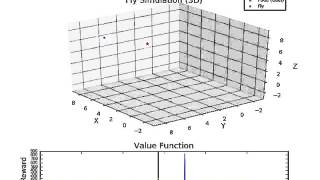 FlyWorld: Policy Iteration (optimal)