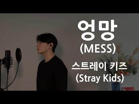 MESS - Stray Kids .covered by JAEUS