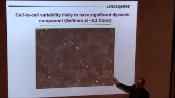 VIZBI 2013: Cellular Image Data - Peter Sorger & Bang Wong